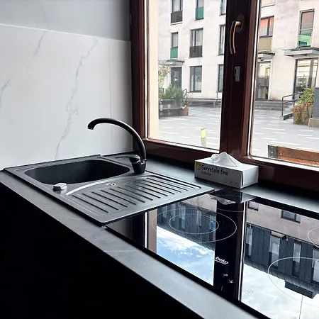 Moonlight City Center Studio-Private Parking, King Apartment