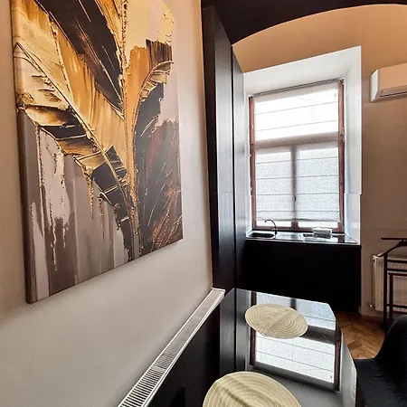 Apartamento Moonlight Center Studio-private Parking, King Cluj-Napoca